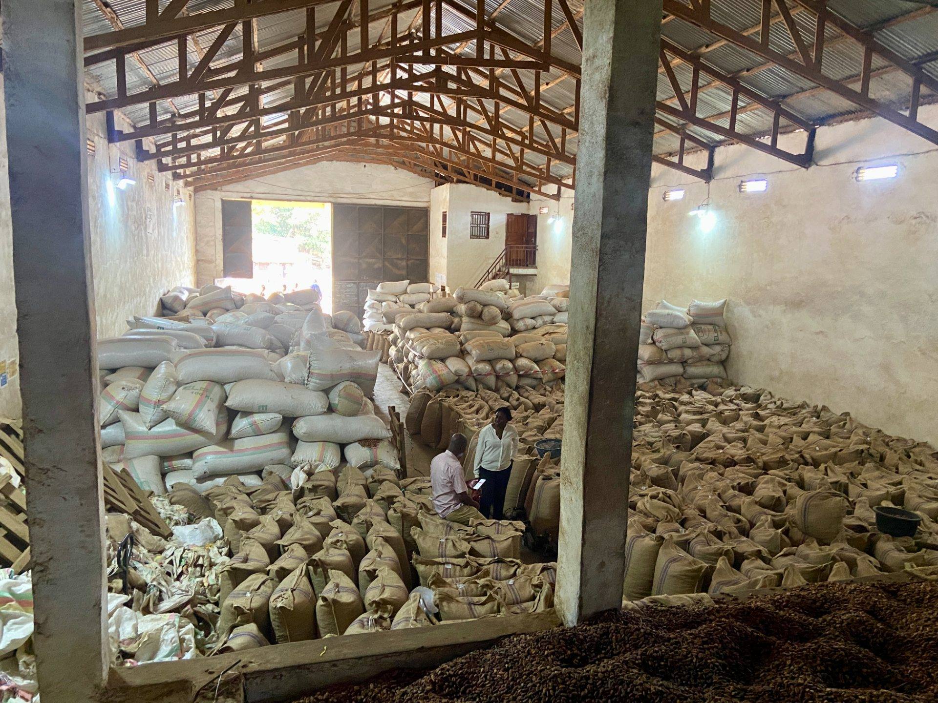 Cocoa sacks stacked in a warehouse