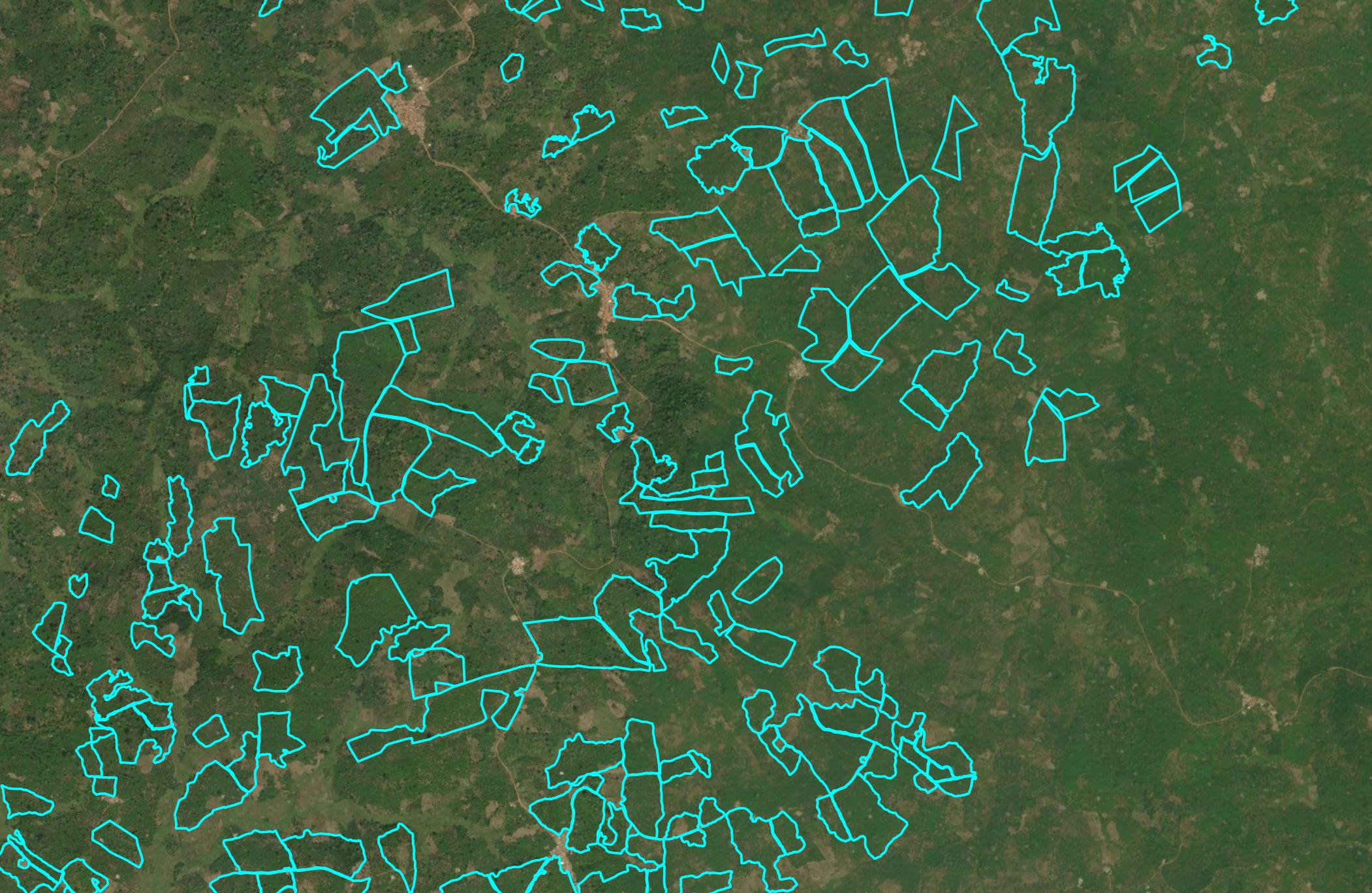 Farm polygons