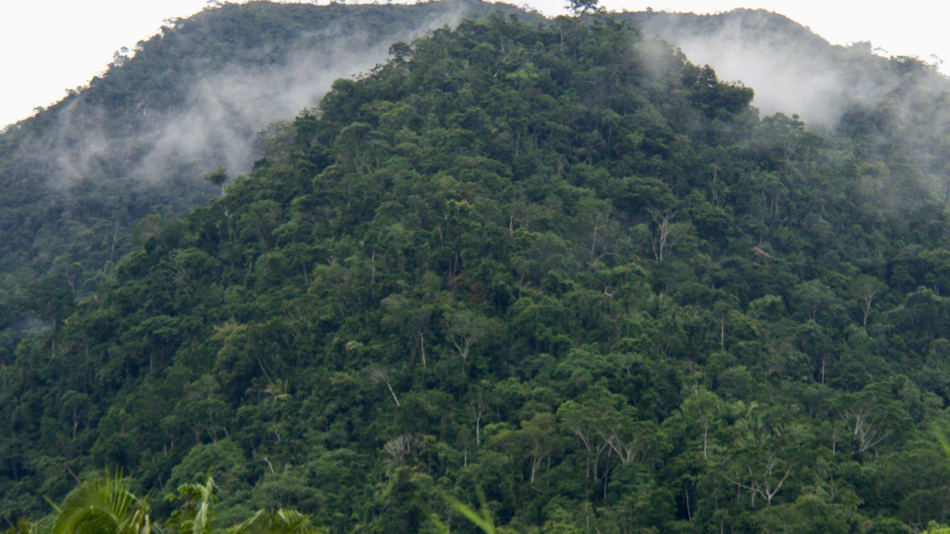 Forested hills in Peru
